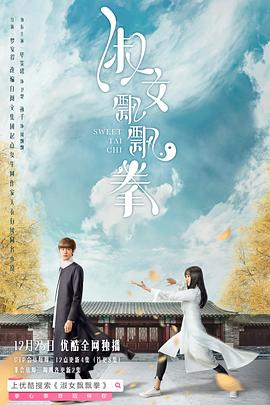 淑女飘飘拳 2019 电视剧 海报