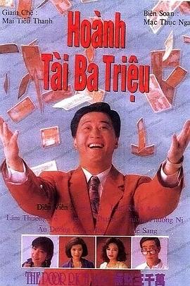横财三千万1991 1991 电视剧 海报
