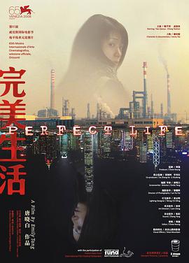 完美生活 2009 电影 海报