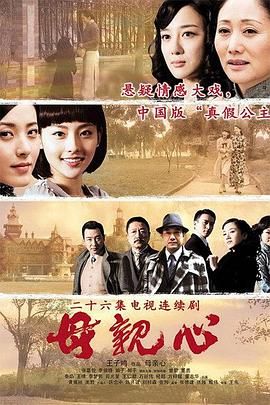 母亲心 2010 电视剧 海报