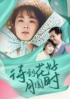 待到花好月圆时 1996 电视剧 海报