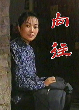 向往 1998 电视剧 海报