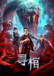 寻棺 2025 电影 海报