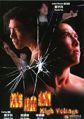 亚洲警察之高压线 1995 电影 海报