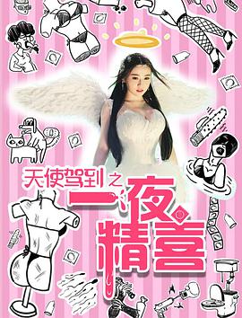 天使驾到之一夜精喜 2016 电影 海报