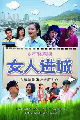 女人进城 2013 电视剧 海报