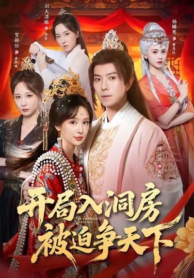 开局入洞房,被迫争天下 2025 短剧 海报