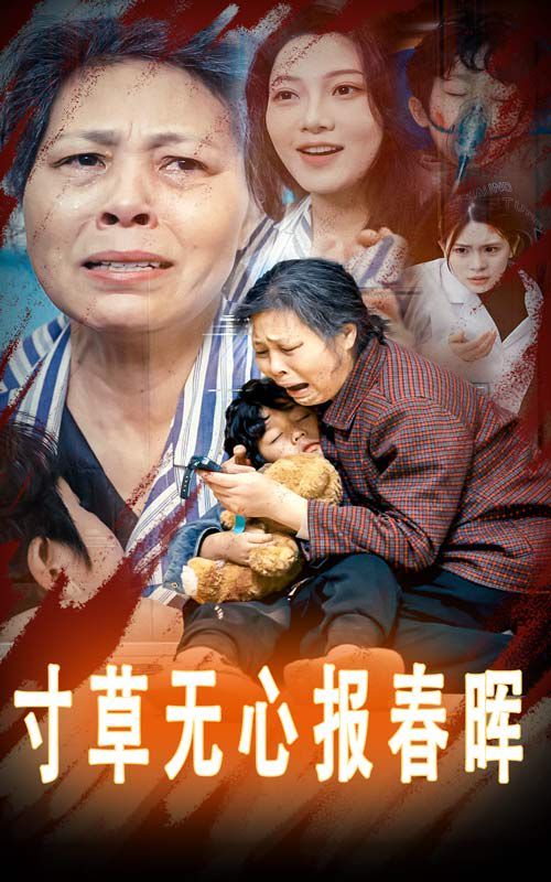 寸草无心报春晖-孝子慈孙 2025 短剧 海报