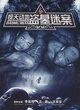惊天动地 2006 电视剧 海报