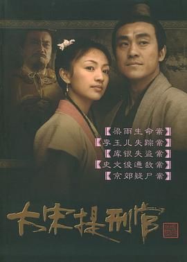 大宋提刑官 2005 电视剧 海报