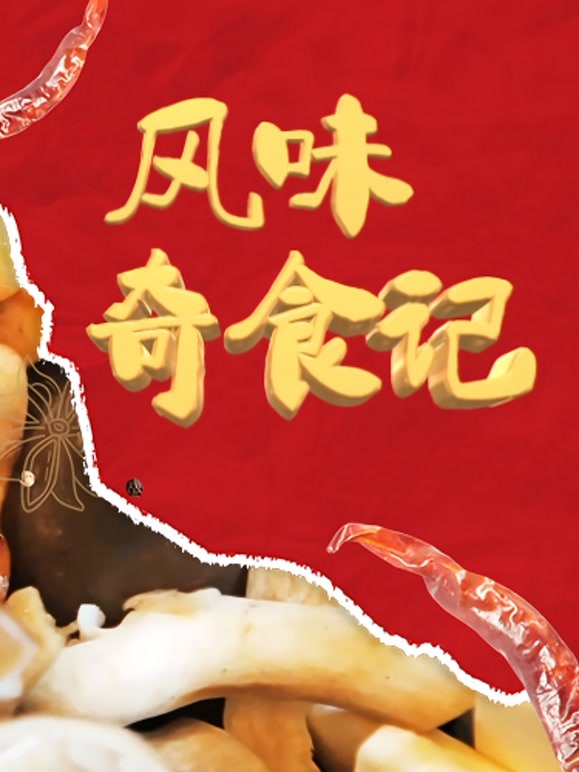 风味奇食记 2022 纪录片 海报