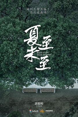 夏至未至 2017 电视剧 海报