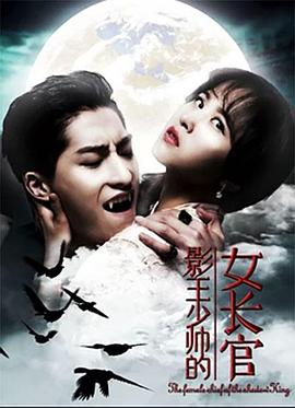 影王少帅的女长官 电影 海报