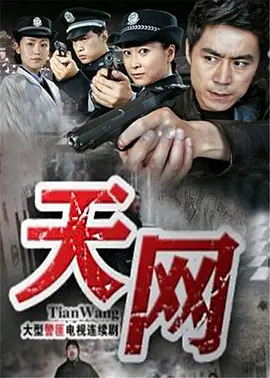 天网 2011 电视剧 海报