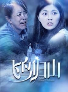 飞鸟归山 2024 短剧 海报