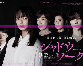 影子工作 2025 电视剧 海报