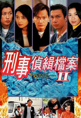 刑事侦缉档案2 1995 电视剧 海报