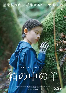 盒子里的羊 2026 电影 海报
