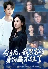 分手后,我黑客的身份藏不住了 2025 短剧 海报