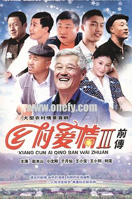 乡村爱情故事 2010 电视剧 海报