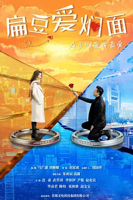 复婚前规则 2017 电视剧 海报