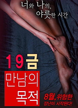 19禁:别人的目的 2016 电影 海报