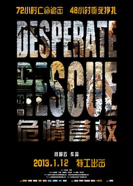 危情营救 2013 电影 海报