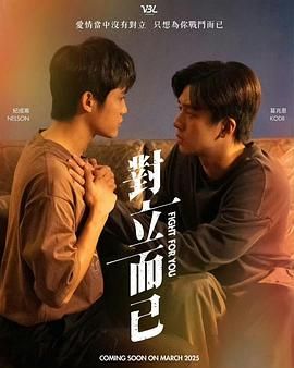 对立而已 2025 电视剧 海报