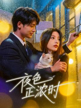 夜色正浓时 2025 短剧 海报