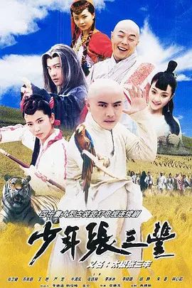 少年张三丰 2001 电视剧 海报