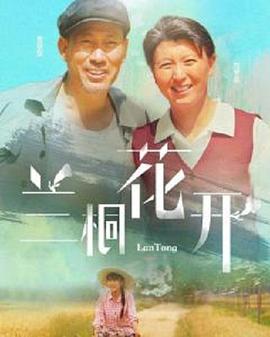 兰桐花开 2019 电视剧 海报