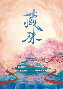 藏珠 2025 电视剧 海报