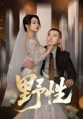 野性,分手后,顶头上司要嫁我 2026 短剧 海报