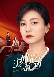 主妇的反击 2023 电视剧 海报