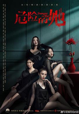 危险的她 2020 电视剧 海报