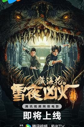 藏海花之雪夜凶灯 2024 电影 海报
