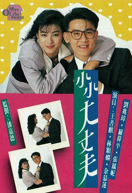 小小大丈夫 1988 电视剧 海报