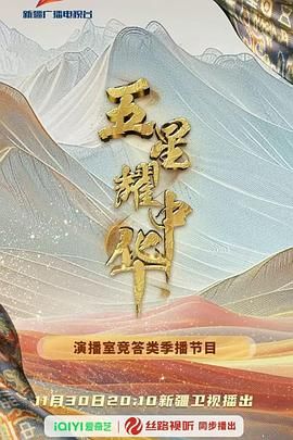 五星耀中华第二季 2025 综艺 海报