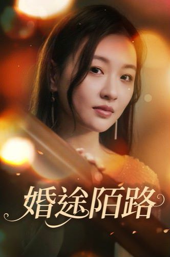 婚途陌路 2024 短剧 海报