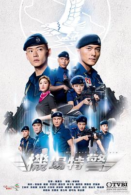 机场特警国语 2020 电视剧 海报