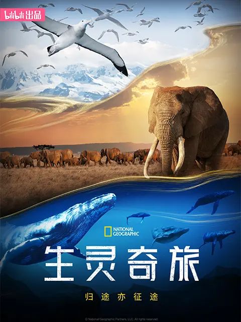 生灵奇旅 2023 纪录片 海报