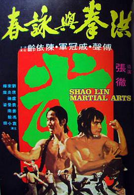 洪拳与咏春 1974 电影 海报
