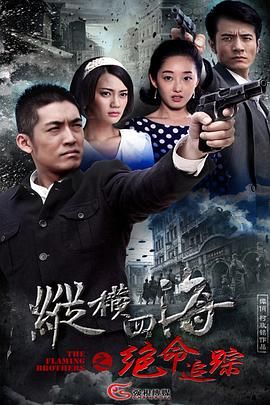 绝命追踪 2015 电视剧 海报