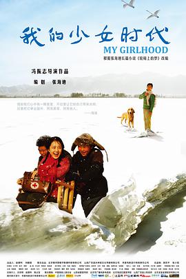 我的少女时代 2010 电影 海报