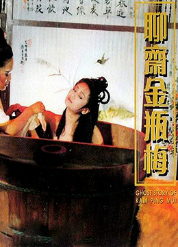 聊斋金瓶梅DVD 1991 电影 海报