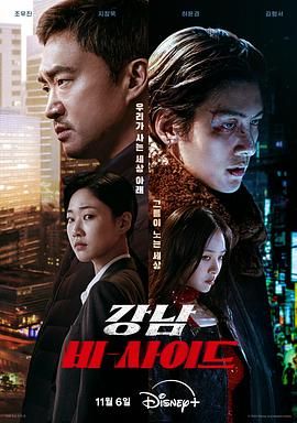 江南重案组 2024 电视剧 海报