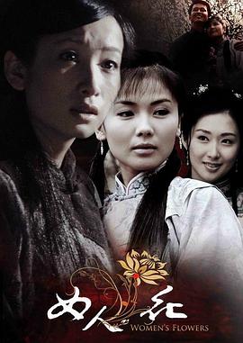 女人花 2007 电视剧 海报