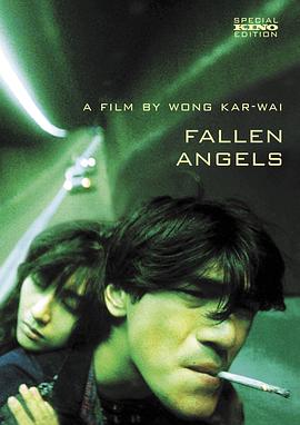 堕落天使国语 1995 电影 海报