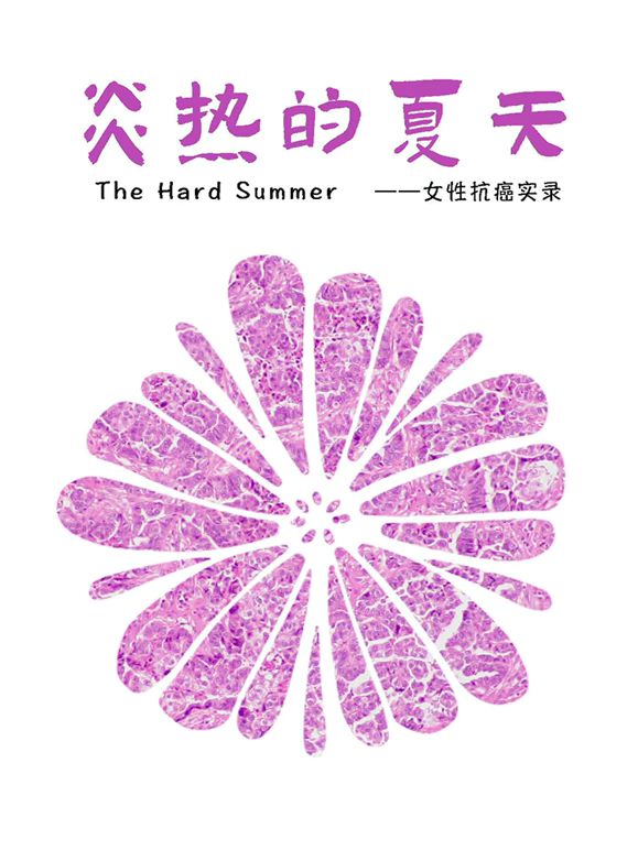 炎热的夏天 2025 纪录片 海报