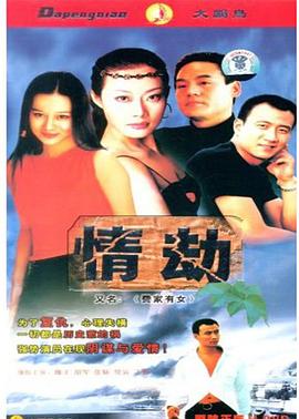 费家有女 1994 电视剧 海报